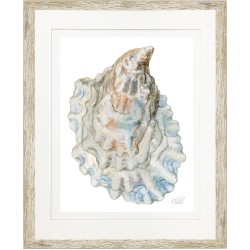 KS- OYSTER SHELL 12